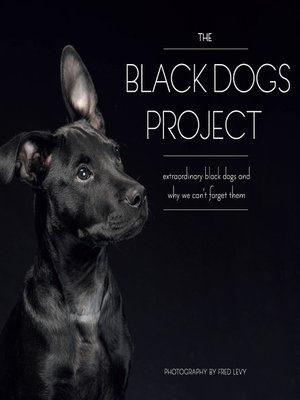 cover image of The Black Dogs Project